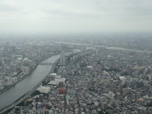 展望デッキから